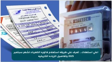 أعلى استهلاك.. تعرف على طريقة استعلام فاتورة الكهرباء لشهر سبتمبر 2025 وتفاصيل الزيادة التاريخية